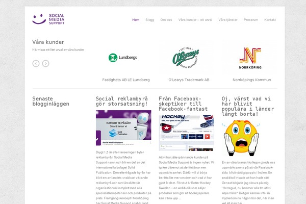 Site using Fanciest-author-box plugin