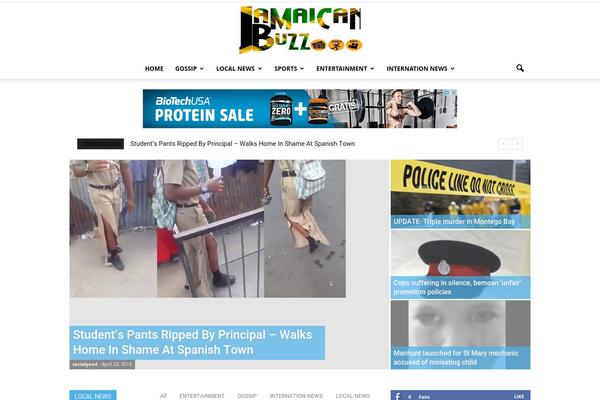 Newspaper theme site design template sample