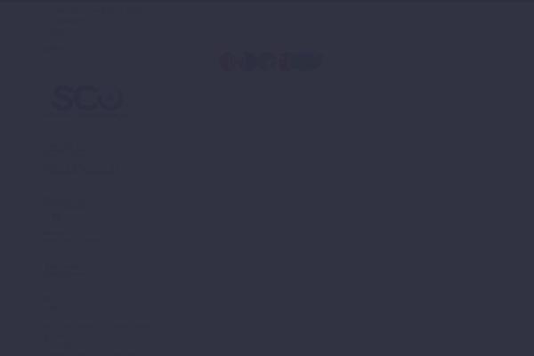 Site using Webp-express plugin