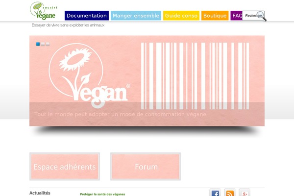 Boldy theme site design template sample