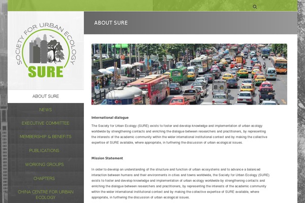 Vertikal theme site design template sample