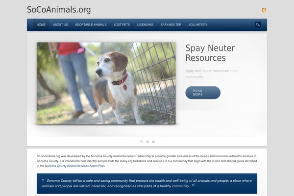 Dejavu theme site design template sample