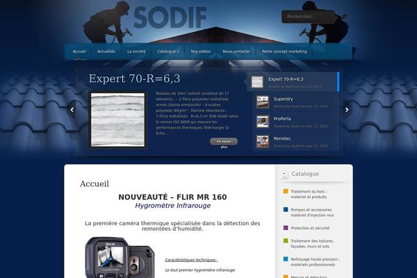 Polished theme site design template sample
