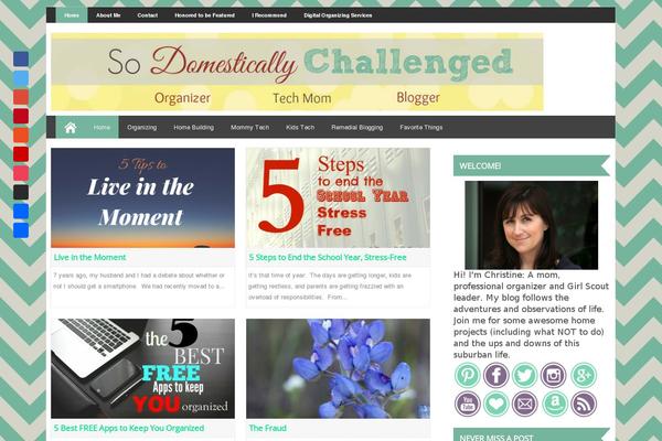sodomesticallychallenged.com site used Digitalpro