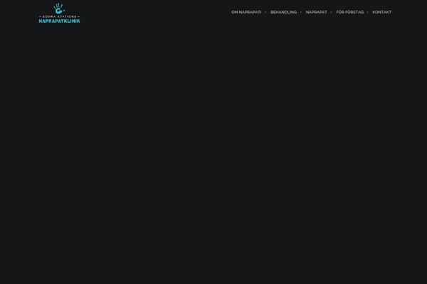 Brooklyn theme site design template sample