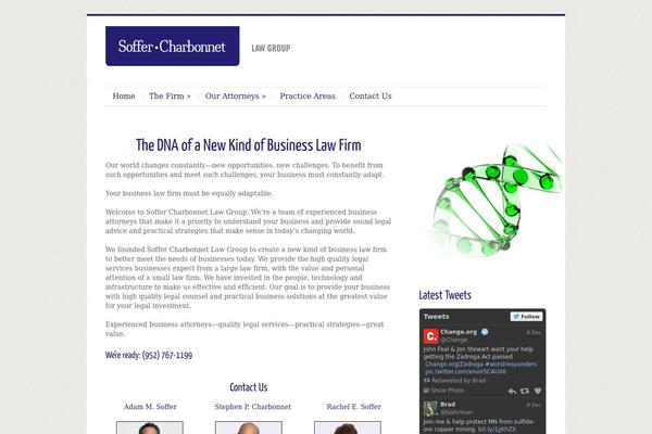 Cleanex theme site design template sample