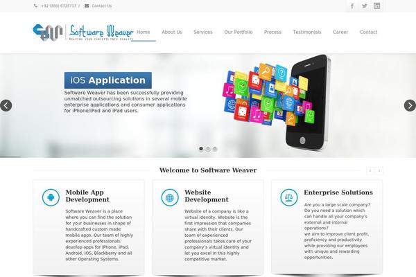 Envision theme site design template sample