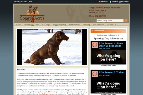 Site using Arscode-social-slider-v3.3.1 plugin