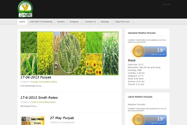 Site using Hybrid Slideshow plugin