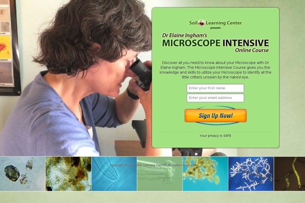 EDU theme site design template sample