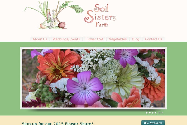 PureVISION theme site design template sample