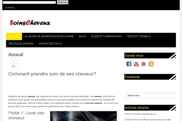 BresponZive theme site design template sample