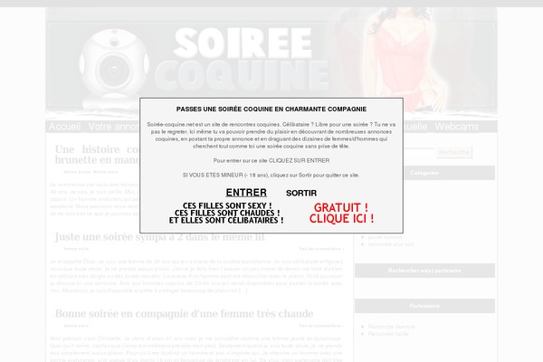 LeatherDiary theme site design template sample