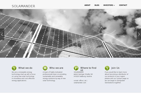 Biznez Lite theme site design template sample