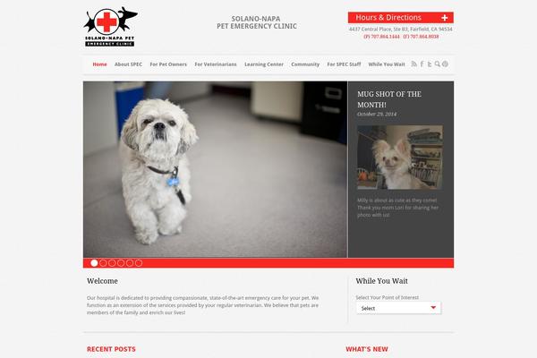 buddies theme websites examples