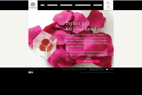 Sola theme site design template sample