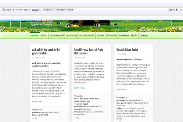 Hoarder theme site design template sample