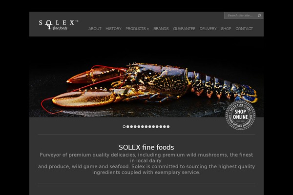 Chameleon theme site design template sample