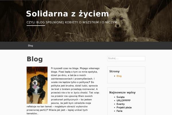 Site using Widgets Controller plugin