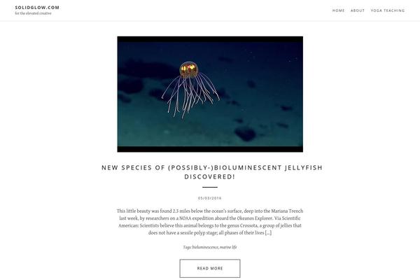 Daily theme site design template sample