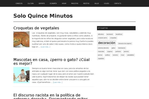 Magazine Pro theme site design template sample