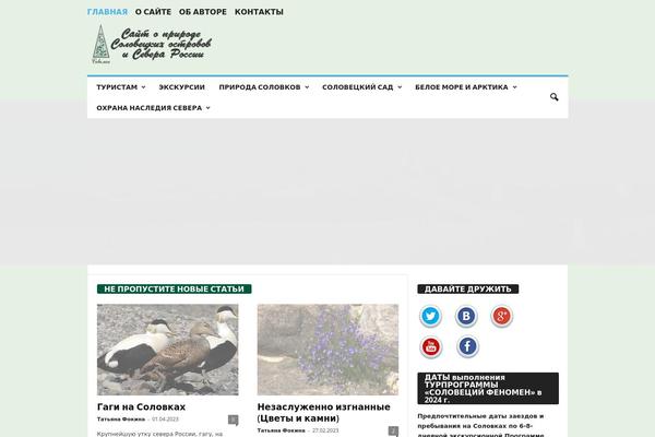 NewsMag theme site design template sample