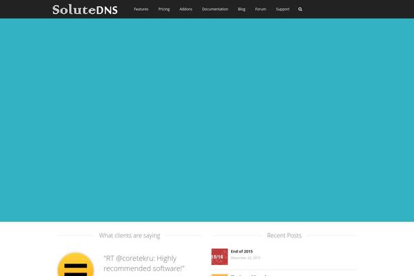 Vivacity theme site design template sample