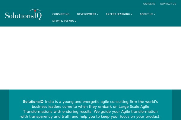 RioLeme theme websites examples