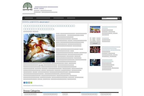 solvanam.com site used Cocktail