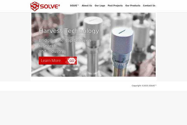 Solve theme site design template sample