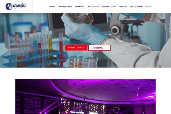 Site using Themestek-labtechco-extras plugin