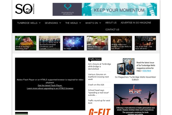 Delipress theme site design template sample