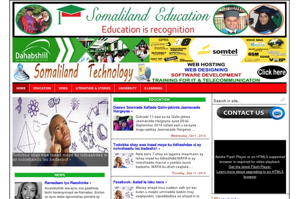 Site using Amazing-post-widget plugin