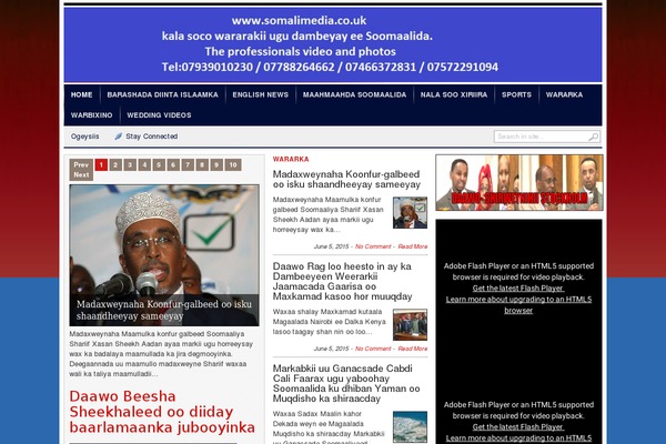 Transcript theme site design template sample