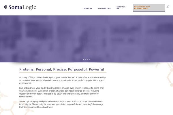 Soma theme site design template sample