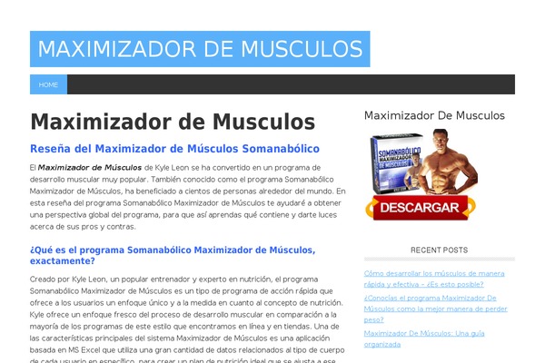 Metro Pro theme site design template sample