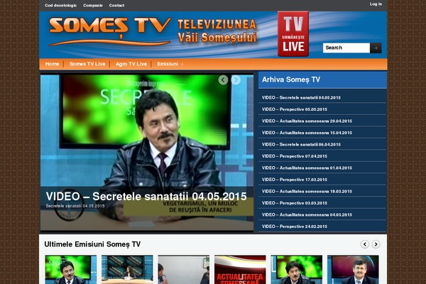 Magazinum theme site design template sample