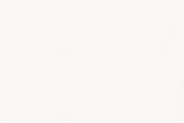 Site using Themeone-shortcodes plugin
