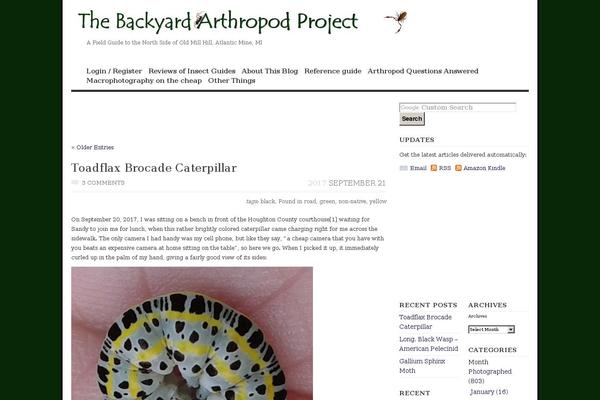 Vigilance theme site design template sample