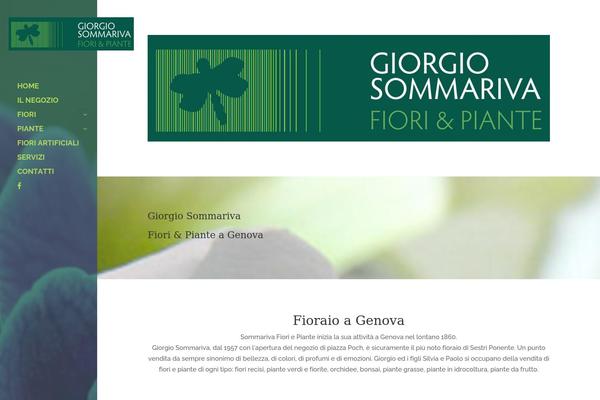 Site using Wp-smush-pro plugin