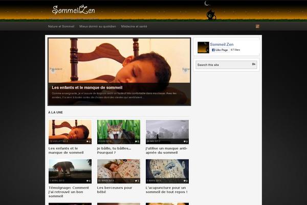 Arras WP theme theme site design template sample