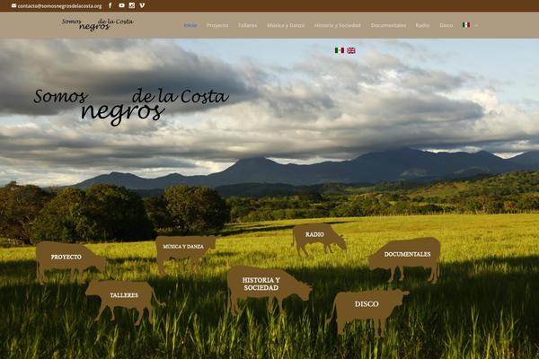 Site using Simple Music Widget plugin