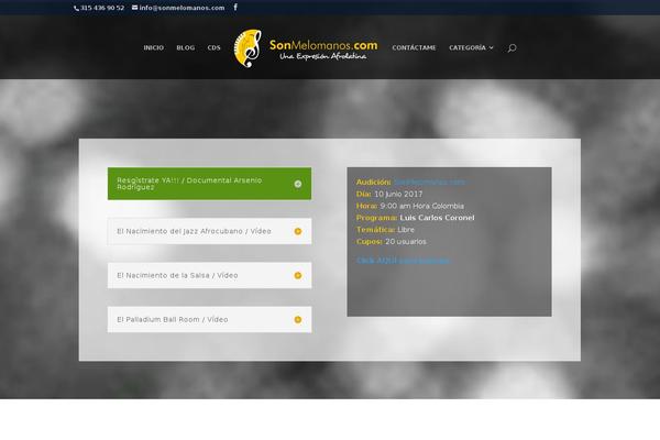 Site using Flash MP3 Player plugin