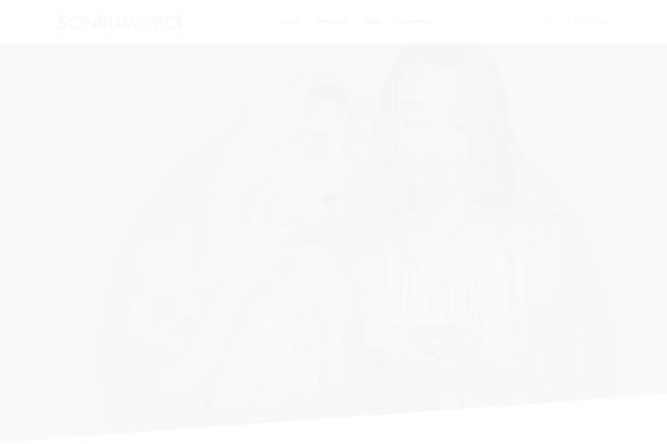 The7 theme site design template sample
