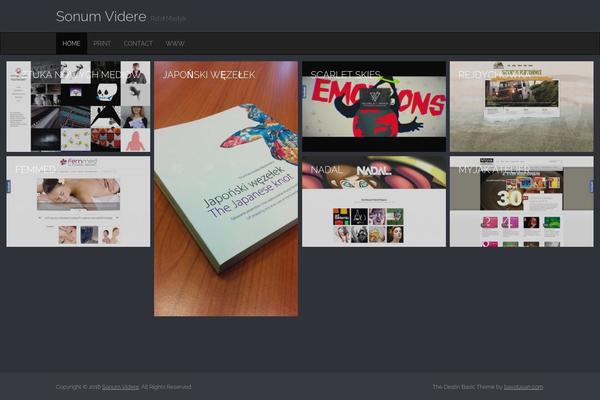 Destin Basic theme site design template sample