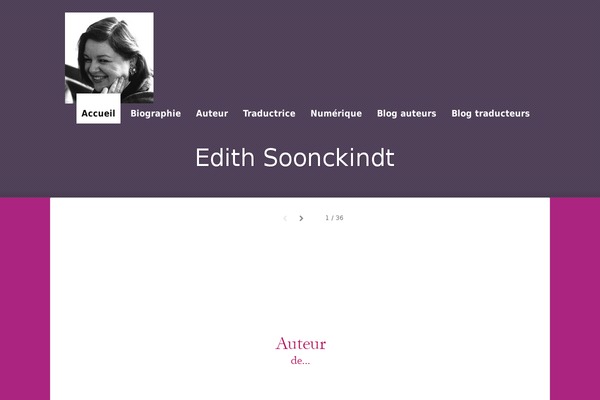Resolution theme site design template sample