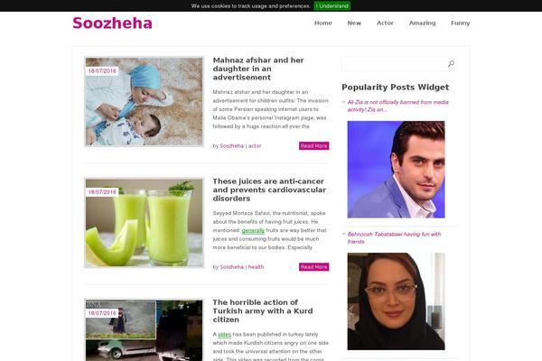 Site using Popularity Posts Widget plugin