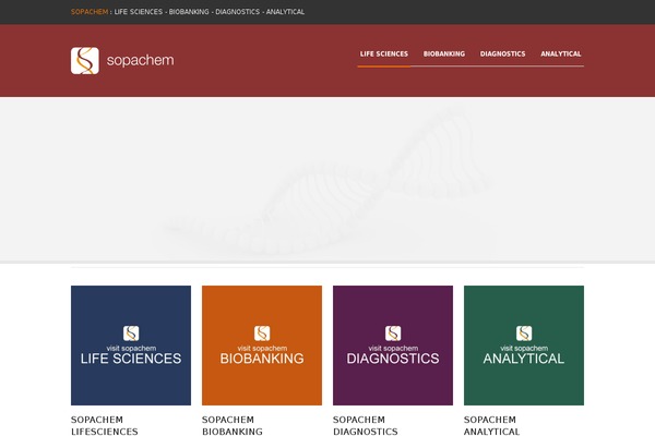 Maxima theme site design template sample