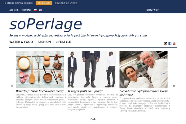 Responz theme site design template sample