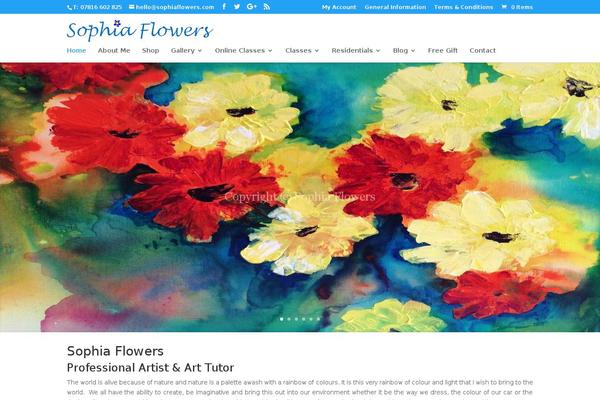 Divi Child theme site design template sample